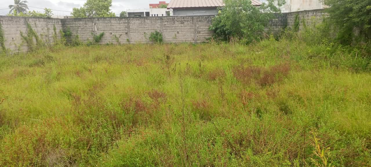 Terrain de 600 m² à Grand Bassam Mockeyville à vendre